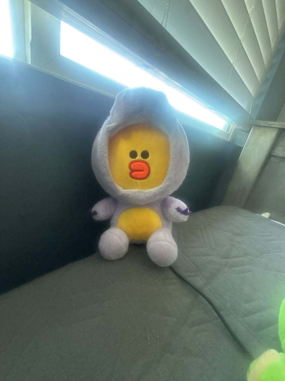 Line Friends Jungle Series Dino Sally Purple Dinosaur Costume Plush